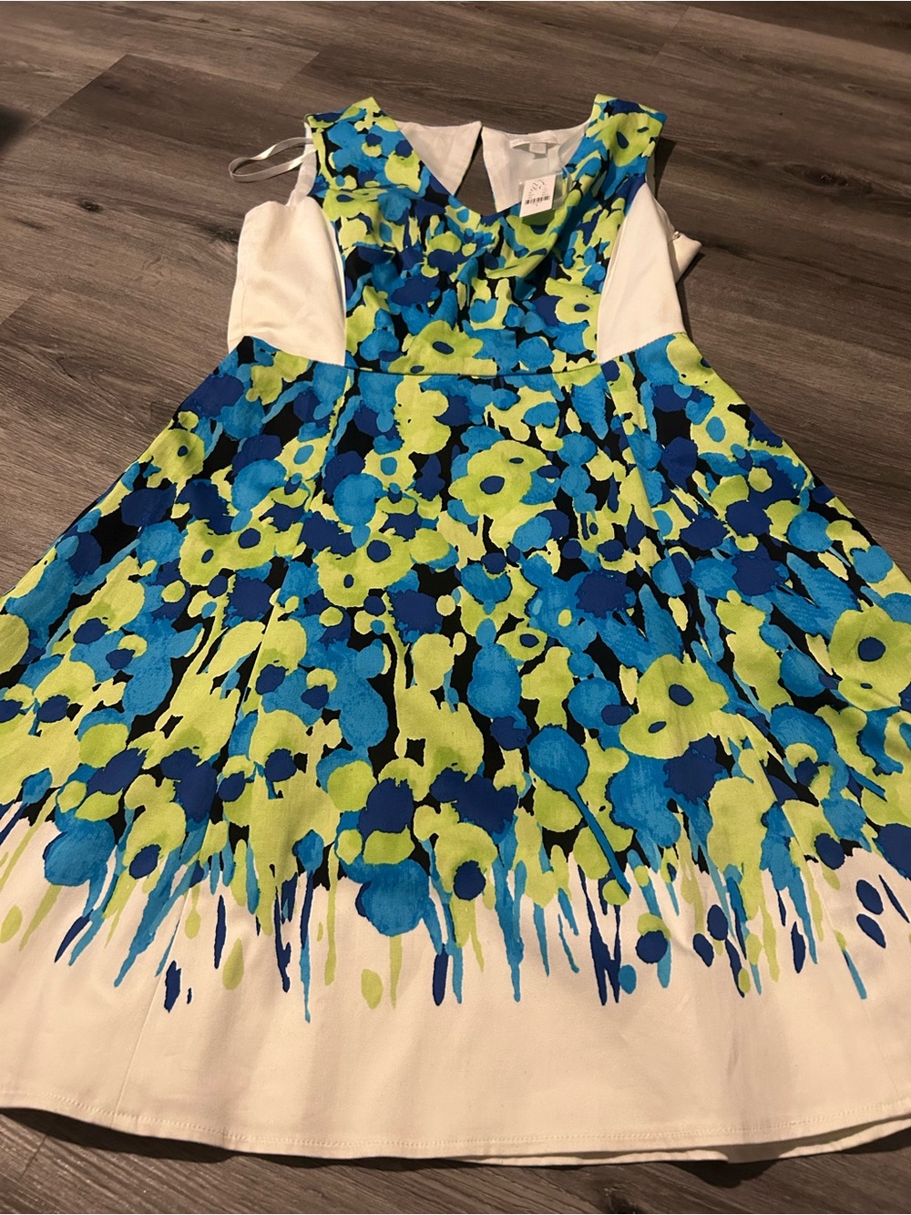 Women  Floral Fit & Flare Dress in Blue and Lime